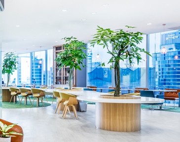 The Netizen (15 days coworking)